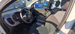 FIAT Panda 1.0 firefly hybrid s&s 70cv